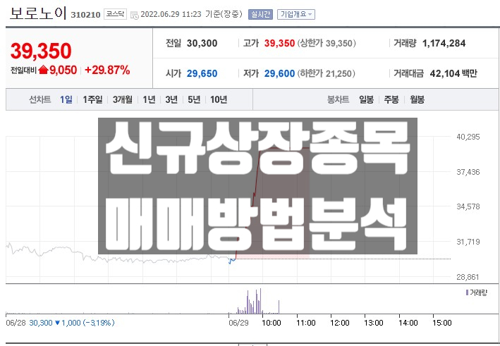 신규 상장 종목 매매 방법 보로노이 주가 급등 차트 분석