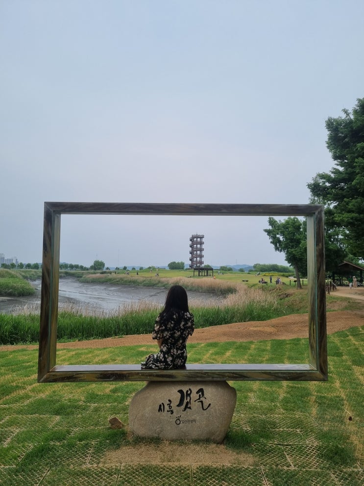 경기도 근교 여행 아이와 함께 가기 좋은 곳, 시흥 갯골생태공원