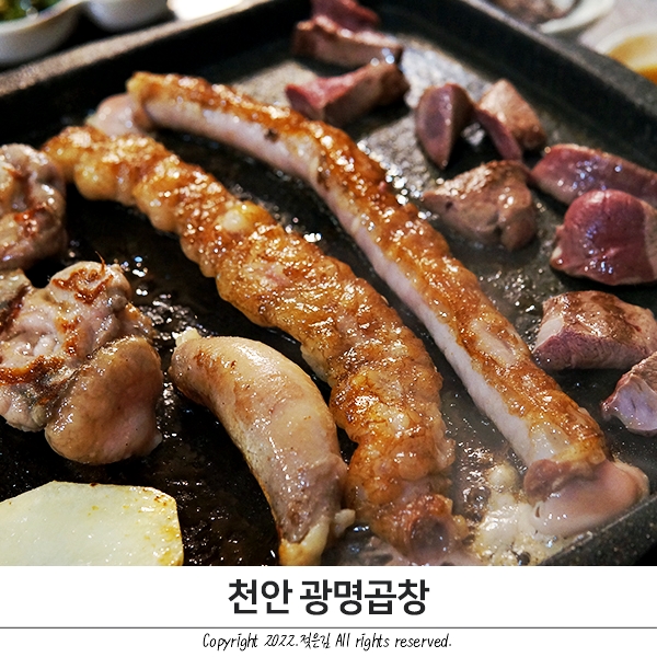 천안 불당동 소곱창 맛집 정성가득 광명곱창