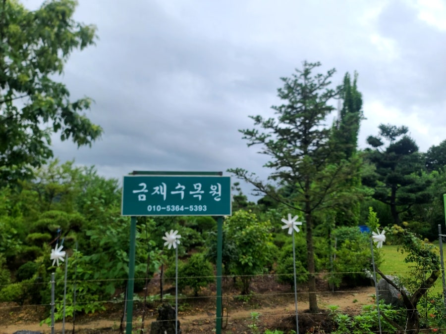 금재수목원 사진 1