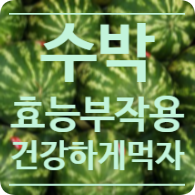  수박 효능 섭취량 부작용 고르는방법 수박껍질 씨 활용방법