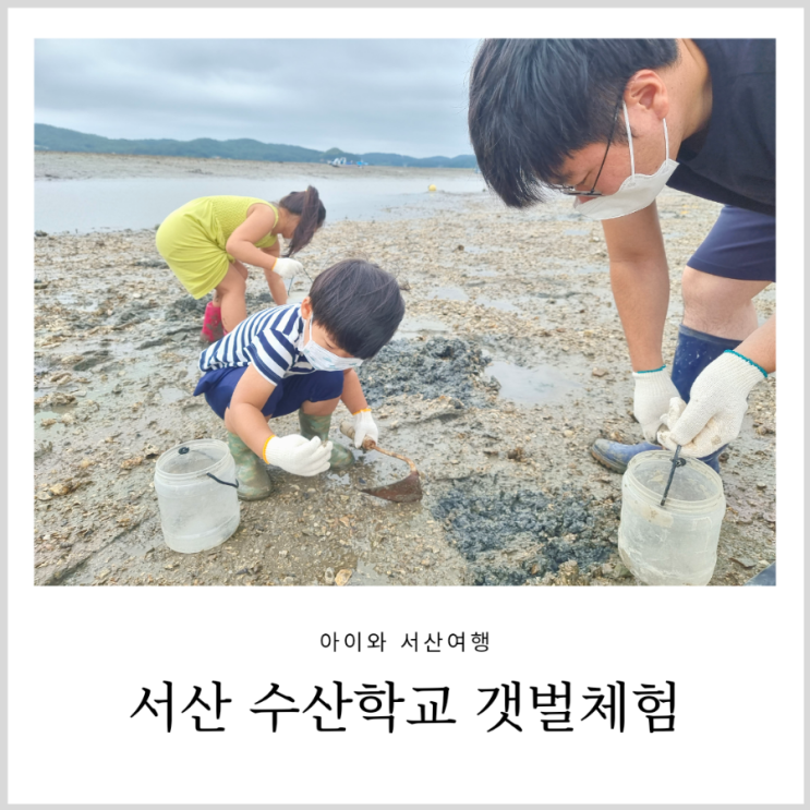 서산 갯벌체험 중리어촌체험마을 청년수산학교 아이와 귀어귀촌 어촌체험 서산 갯벌체험 중리어촌체험마을 청년수산학교 아이와 귀어귀촌 어촌체험