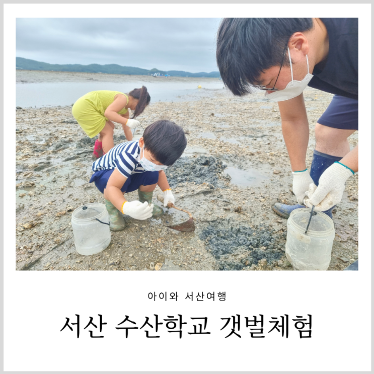 서산 갯벌체험 중리어촌체험마을 청년수산학교 아이와 귀어귀촌 어촌체험