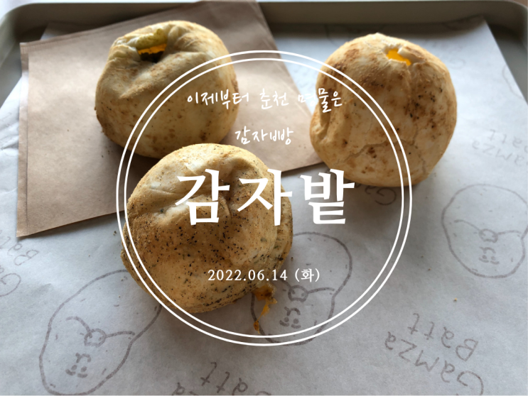 [춘천] 이제부터 춘천 명물은 감자빵! 감자밭 - 2022.06.14(화)