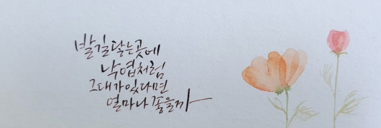 캘리그라피 작품