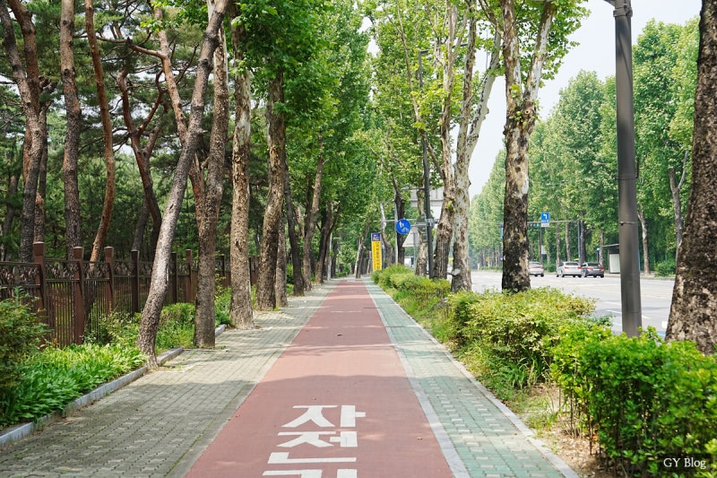 태릉 강릉 태강릉 가는방법 숲길개방 : 네이버 블로그