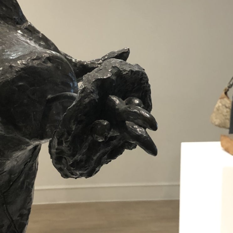이 새는… 사람을 잡아먹을 것 같은데요 이 새는… 사람을 잡아먹을 것 같은데요