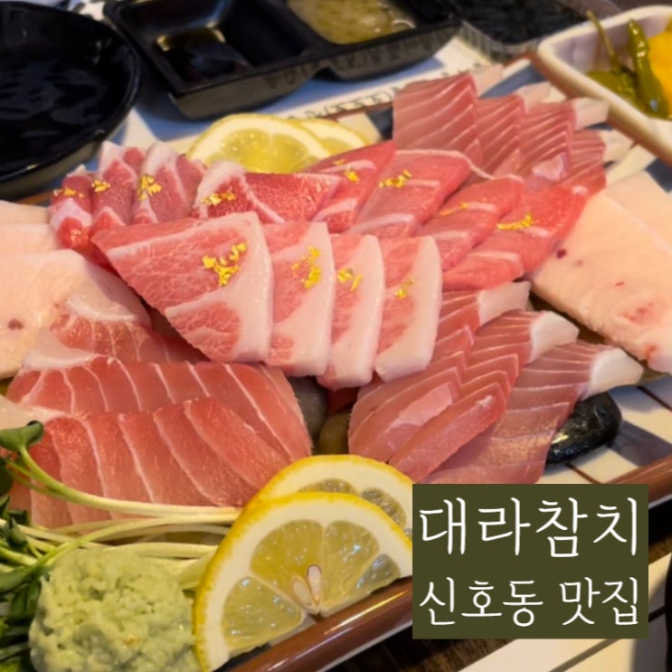  신호동맛집 하면 여기! 부산참치맛집 대라참치