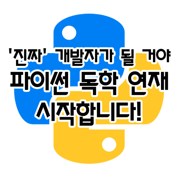 파이썬 독학, 꿈 찾아 시작!