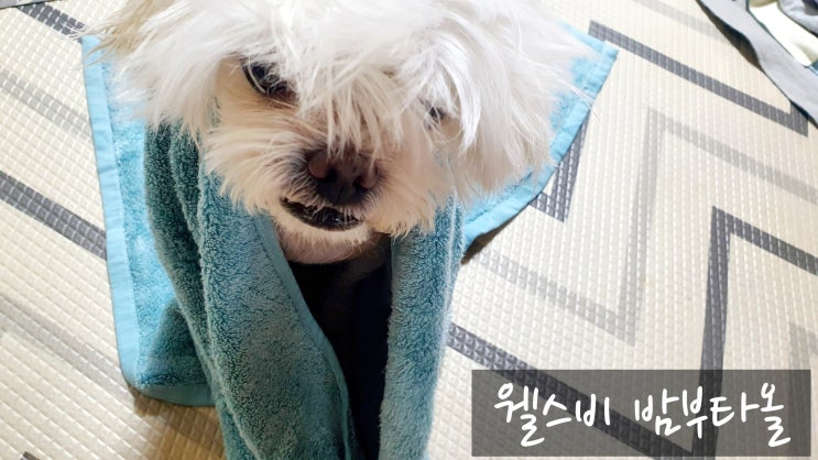 웰스비 밤부타올 강아지 수건 흡수력 굿 털 말리는 시간 단축시키기