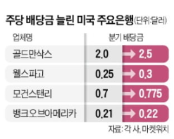 美 주요 은행들 , 분기 배당금 인상 美 주요 은행들 , 분기 배당금 인상
