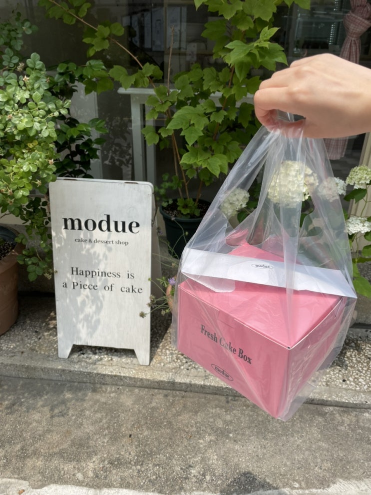  모드에 케이크 