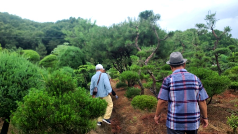금재수목원 사진 4