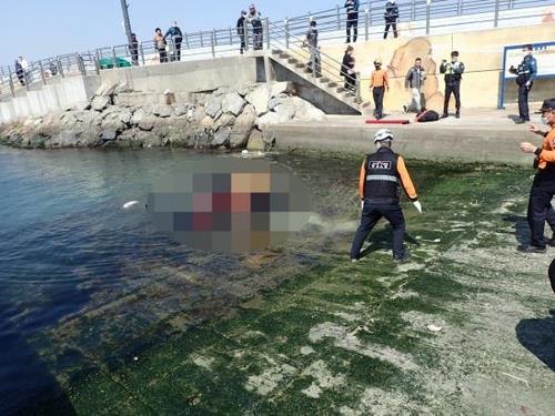 동생만 숨진 동백항 차량추락 사고, 억대 보험금 노린 범행 동생만 숨진 동백항 차량추락 사고, 억대 보험금 노린 범행