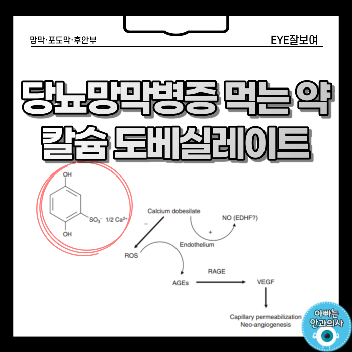  당뇨병성 망막병증의 예방, 치료 - '칼슘 도베실레이트'