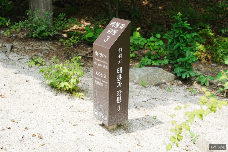태릉 강릉 태강릉 가는방법 숲길개방 : 네이버 블로그