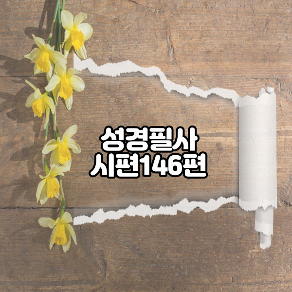  시편 146편 성경필사