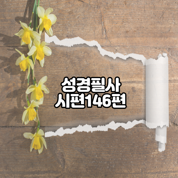 시편 146편 성경필사