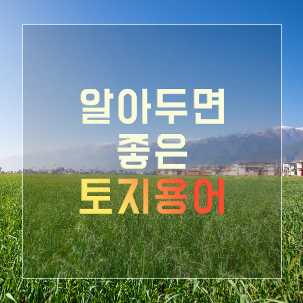  제1부 알아두면 좋은 토지 용어 / 선하지, 지목