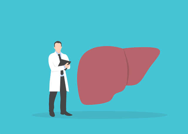  간경화증(liver cirrhosis)의 증상과 분류는
