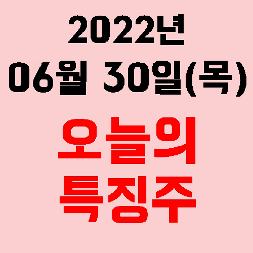  오늘의 시장 특징주 2022년 06월 30일(목)
