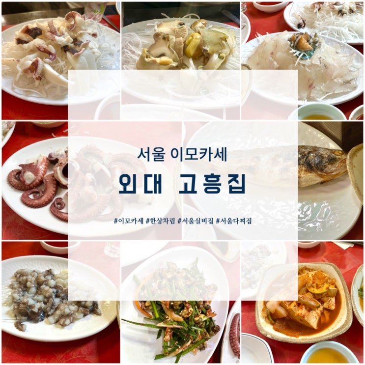  서울 이모카세 외대 고흥집 예약방법 서울 한상차림 다찌집 실비집 맡김차림