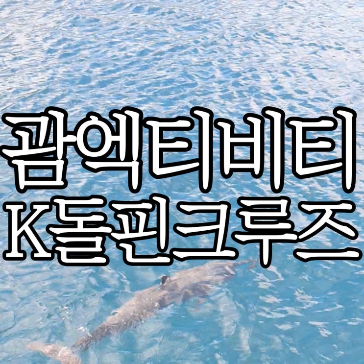  괌 돌핀크루즈 K돌핀크루즈 후기