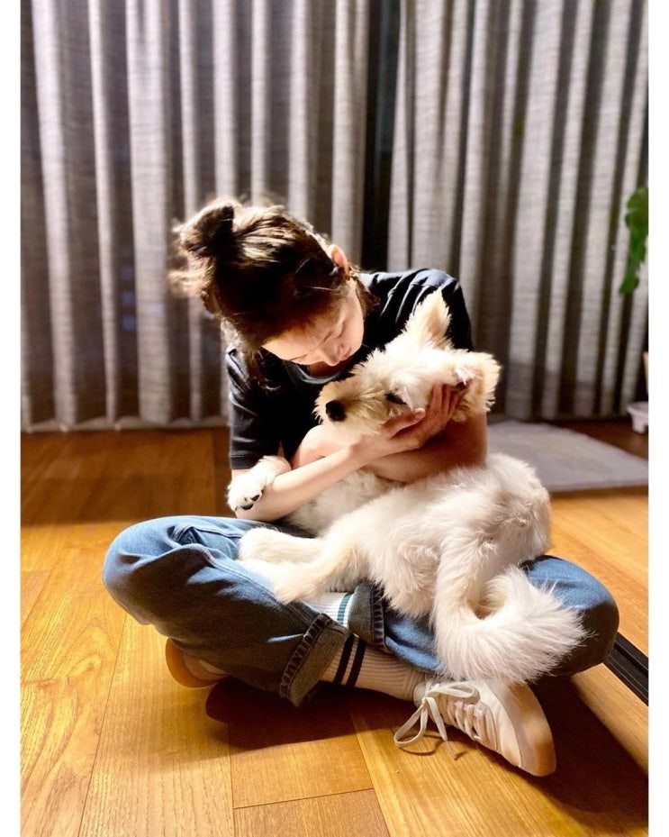 유기견 입양한 배우 김고은, 유기견에서 가족 된 반려견 월이와 행복한 일상 공개 유기견 입양한 배우 김고은, 유기견에서 가족 된 반려견 월이와 행복한 일상 공개