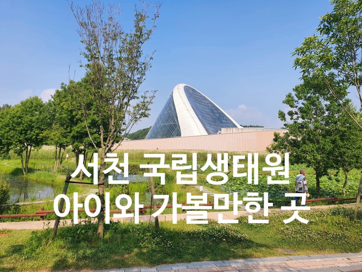서천 국립생태원 에코리움 /대형 놀이터 :: 충남 아이와가볼만한곳