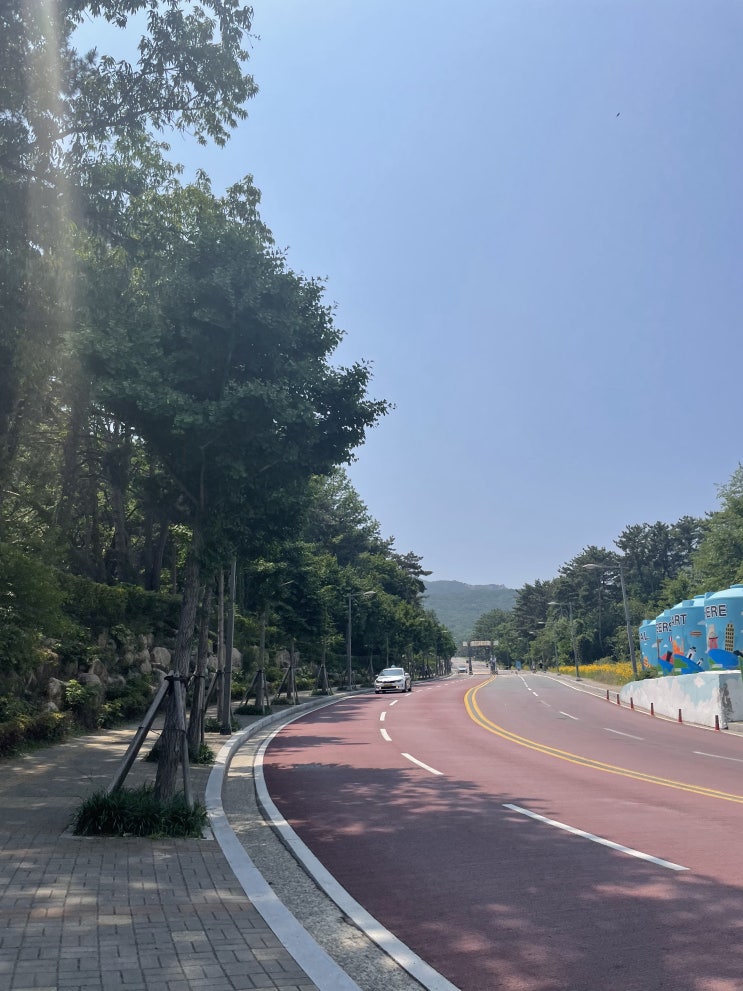  [일상] 6월 주간일기 네번째