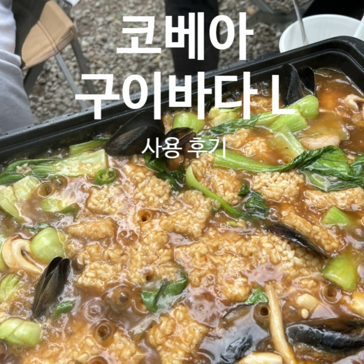  코베아 구이바다 블랙에디션 L  사용후기 & 장단점 [내돈내산]