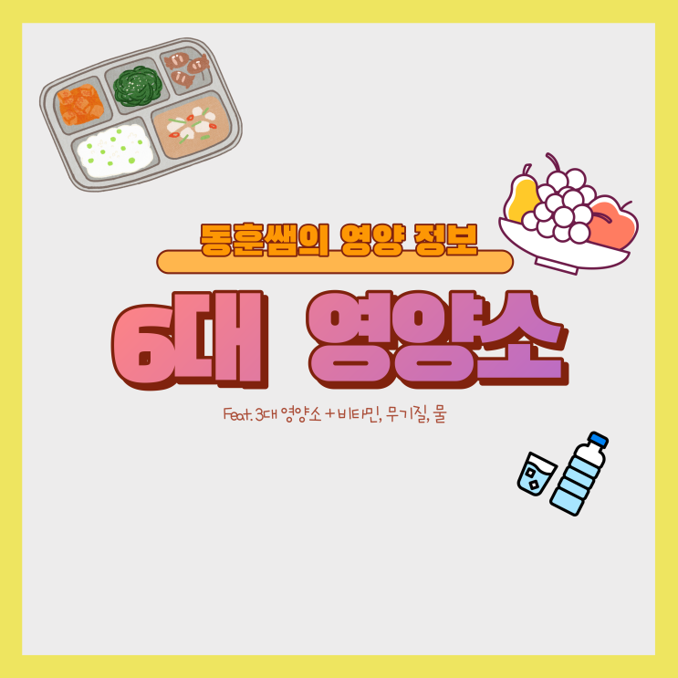  6대 영양소란? (3대 영양소 + 비타민, 무기질, 수분)