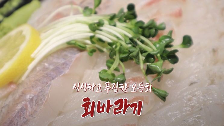 [지축역 맛집] '회바라기' 모듬회와 매운탕 싱싱푸짐꿀맛