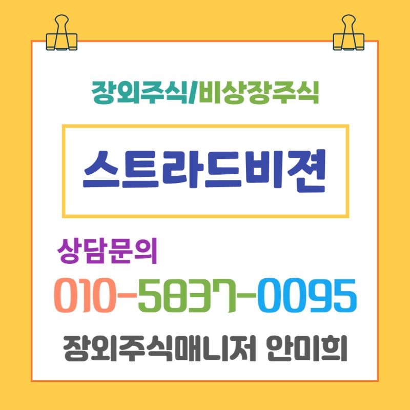 스트래드비전 장외주식 스트래드비전 주식 자율주행 소프트웨어