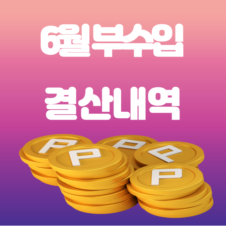 6월 부수입 결산