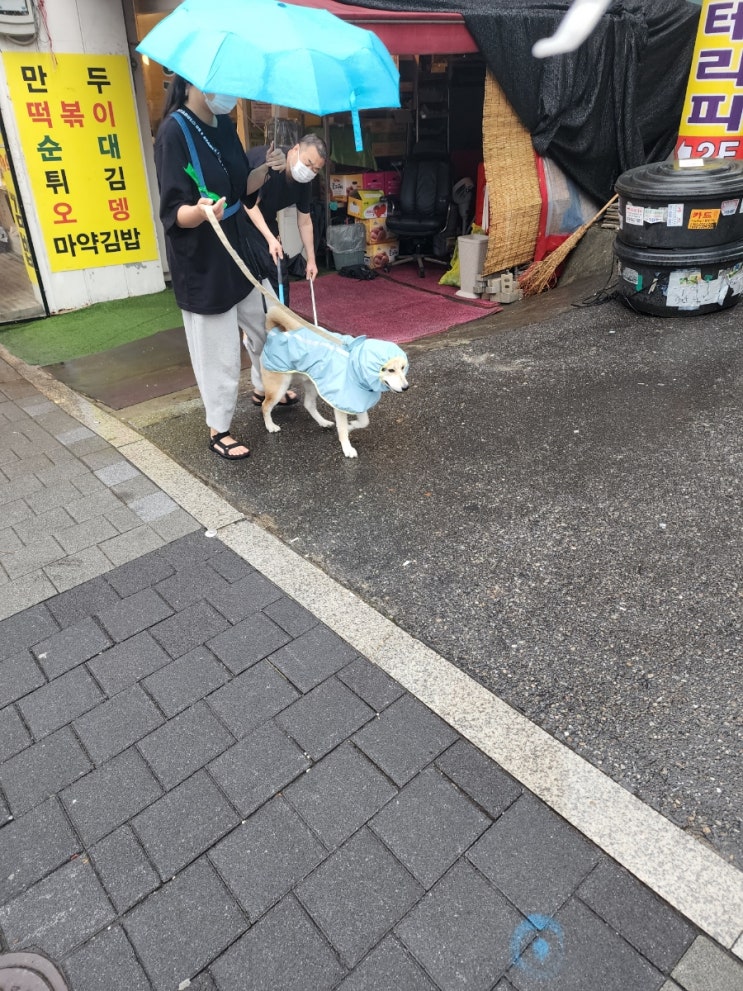  파울러선열의 대칭회전성과 나선모순