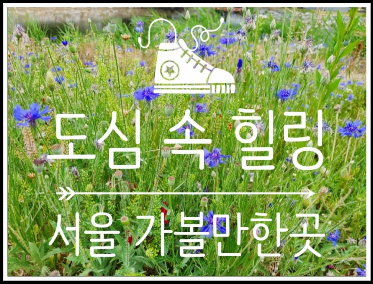  서울 데이트장소지만 유모차 밀고 산책하기에도 딱~