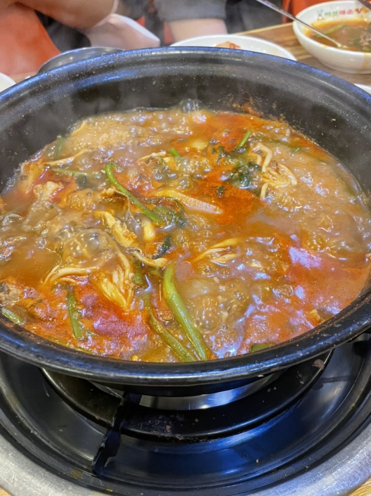  여의도 칼국수  입짧은햇님 맛집 ️ 가양칼국수버섯매운탕 (feat.샤브샤브) 