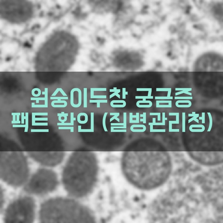 원숭이두창에 관한 궁금증 팩트 확인 질병관리청