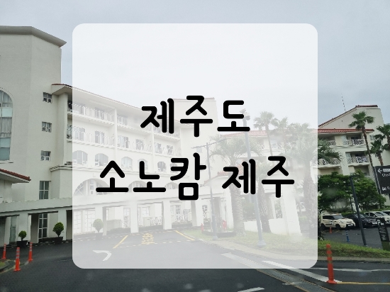 소노캄 제주 비오는 일정 제주여행