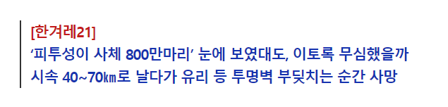  [한겨레21] 새 800만마리 즉사…피도 거의 없는, 유리벽 앞 무덤을 보라