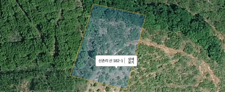  [공매] 임야 공매 수익 도전기 PART2 (인지대보정명령처리)