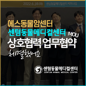  2022 에스동물암센터 & 센텀동물메디컬센터 상호협력 업무협약(MOU) 체결했어요