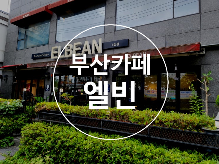 부산온천천카페 / 엘빈 / 브런치 카페