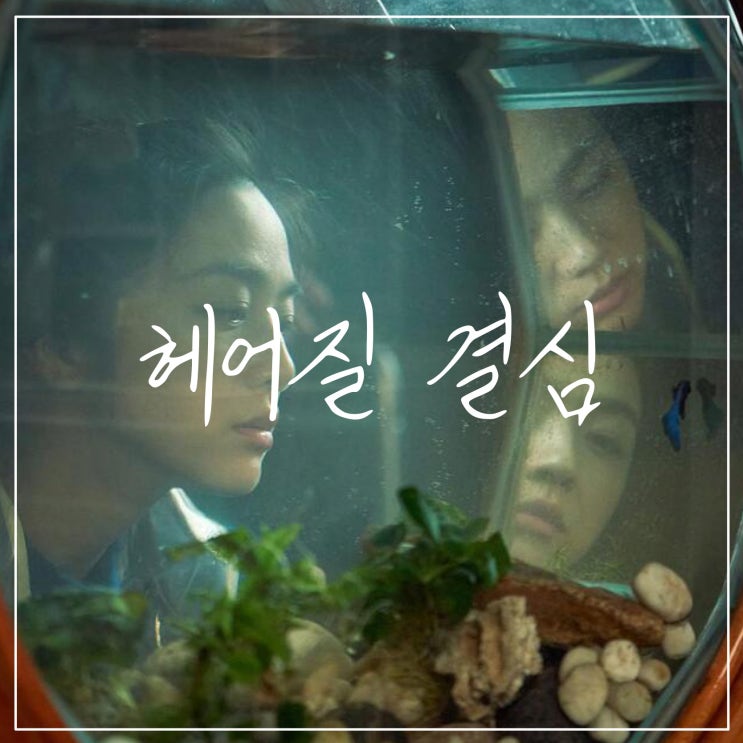  [헤어질결심]박찬욱 덕후가 말하는 '긴 후기' | 줄거리 | 결말 | 해석 | 쿠키없음(스포 표기)