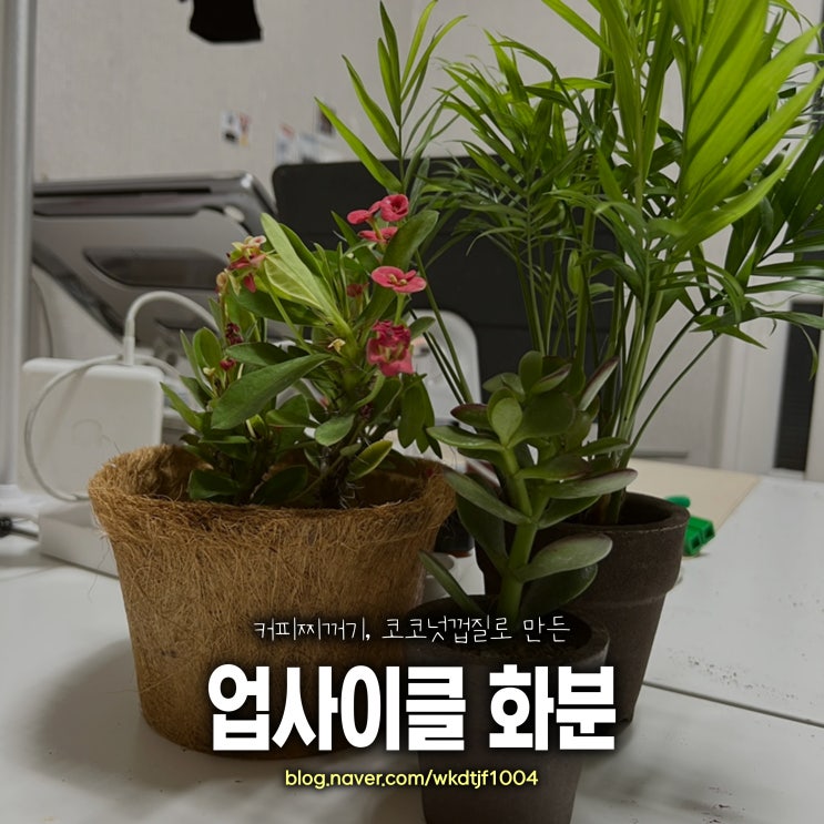 초록별상점 친환경 업사이클 화분으로 사무실을 산뜻하게