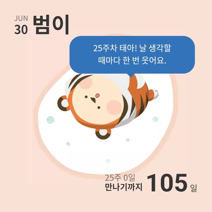  둘째 범이의 임신초기부터 출산까지 - 도움 주는 임신 앱(Feat. 베이비 빌리) - 임신중 두통과 완화 방법까지
