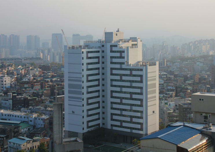  앞으로 서울 부동산의 향방은? 상승 or 하락?