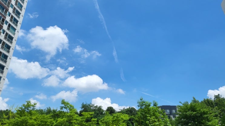  날씨 죠타