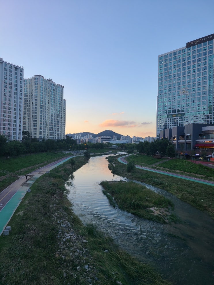  장마
